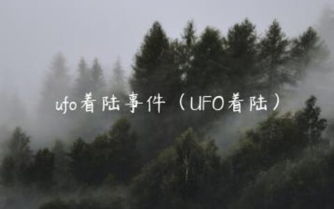 ufo着陆事件（UFO着陆）