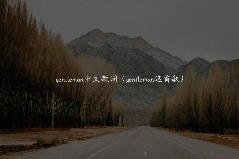 gentleman中文歌词（gentleman这首歌）