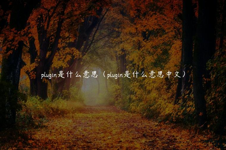 plugin是什么意思（plugin是什么意思中文）